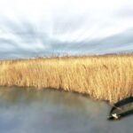 Castilla-La Mancha elige ‘Los 22 lugares del 22’ entre más de 800 espacios después de superar las 665.000 visitas a la página web