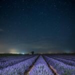 Los 8 mejores lugares de La Mancha para ver las estrellas este verano